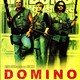 photo du film Domino