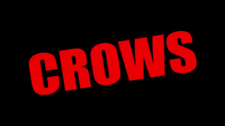 Un extrait du film  Crows Zero