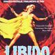 photo du film Libido