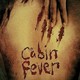 photo du film Cabin fever