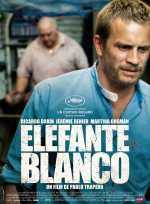 Elefante blanco