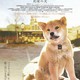 photo du film Hatchi