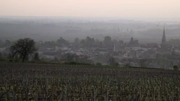 Extrait vidéo du film  Château Pékin