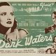 photo du film Dark Waters