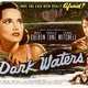 photo du film Dark Waters