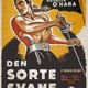 photo du film Le Cygne noir