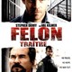 photo du film Felon