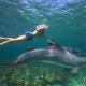 photo du film Alyssa et les dauphins