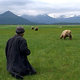 photo du film Grizzly man