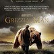 photo du film Grizzly man