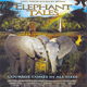 photo du film La Balade des éléphants