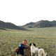 photo du film Le Chien jaune de Mongolie