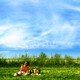 photo du film Puzzle