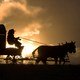 photo du film The Homesman