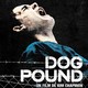 photo du film Dog Pound