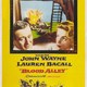 photo du film L'Allée sanglante