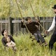 photo du film L'Assassinat de Jesse James par le lâche Robert Ford