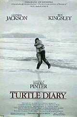 Turtle diary