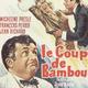 photo du film Le Coup de bambou