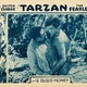 photo du film Tarzan l'intrépide