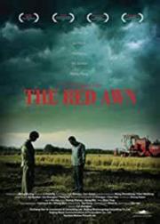 The Red Awn
