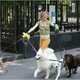 photo du film Whatever works