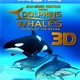 photo du film Dolphins and Whales 3D : Tribes of the Ocean