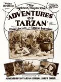 voir la fiche complète du film : Les Aventures de Tarzan