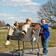 photo du film Bad Grandpa