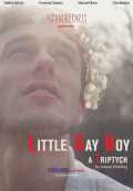 voir la fiche complète du film : Little Gay Boy