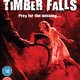 photo du film Timber Falls