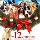 photo du film Les 12 chiens de Noël