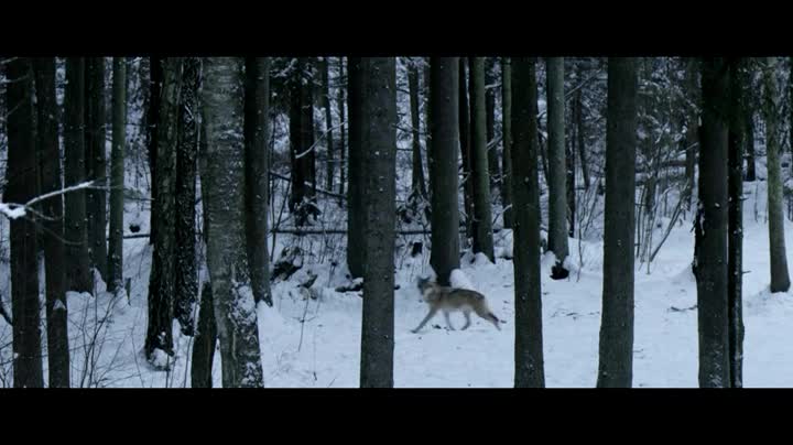 Extrait vidéo du film  Dans les bois