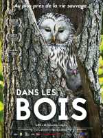 Dans Les Bois