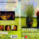 photo du film Les Herbes folles