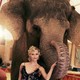 photo du film De l'eau pour les éléphants