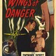photo du film Wings of Danger