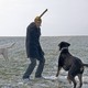 photo du film Des chiens dans la neige