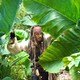 photo du film Pirates des Caraïbes : La Fontaine de jouvence