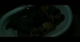 Un extrait du film  Je suis une légende