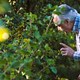 photo du film La Quête d'Alain Ducasse