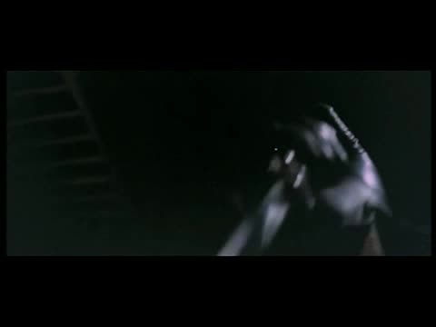 Un extrait du film  Le Tueur à l orchidée