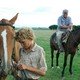 photo du film Le dernier été de la Boyita