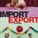photo du film Import Export