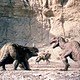 photo du film La Vallée de Gwangi