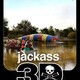 photo du film Jackass 3D