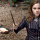 photo du film Harry Potter et les reliques de la mort : 1ère partie