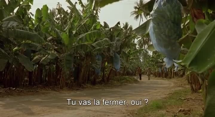 Extrait vidéo du film  Rudo et Cursi