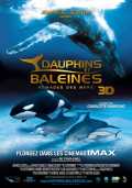 Dauphins et Baleines 3D, nomades des Mers