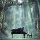 photo du film Piano Forest
